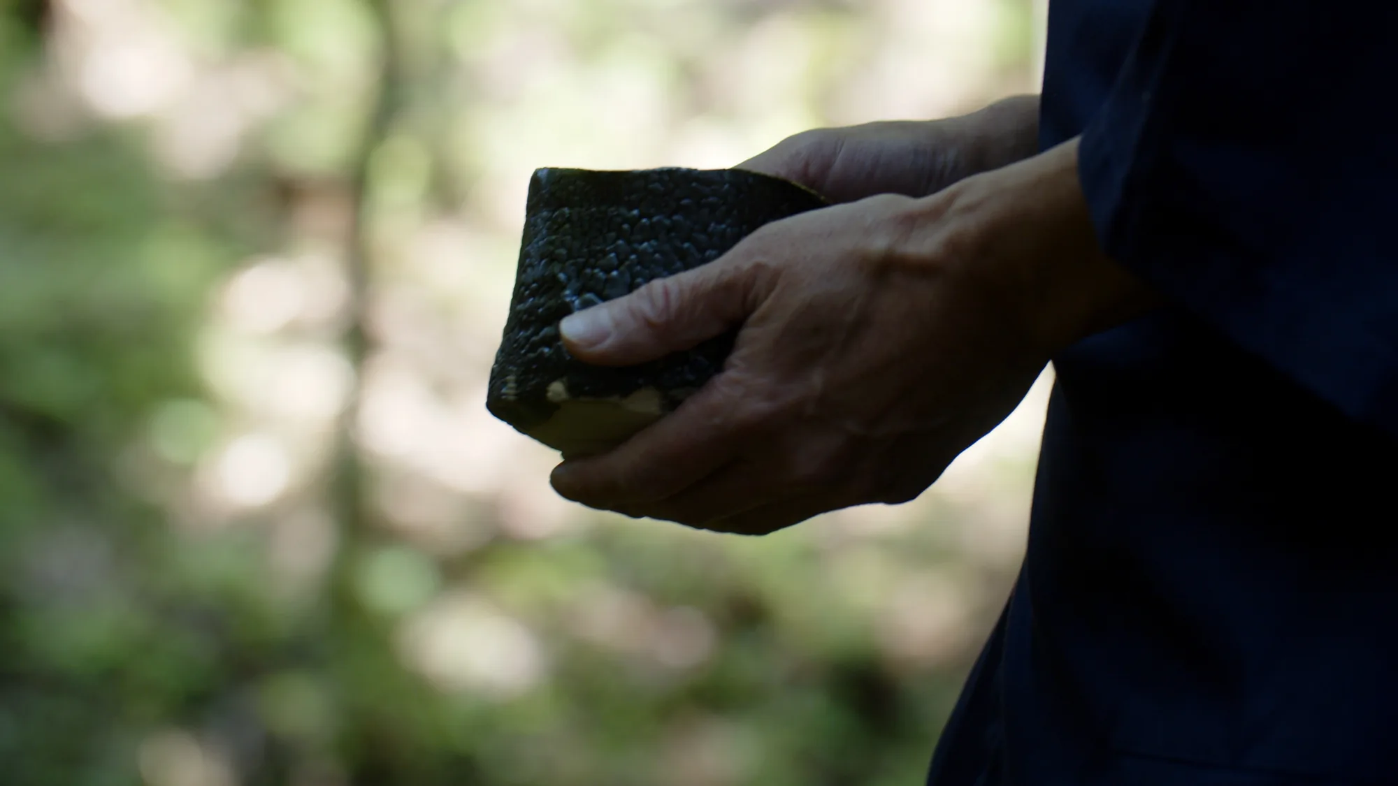 森の明るさを背に、瀬戸黒の茶盌を手に持つ