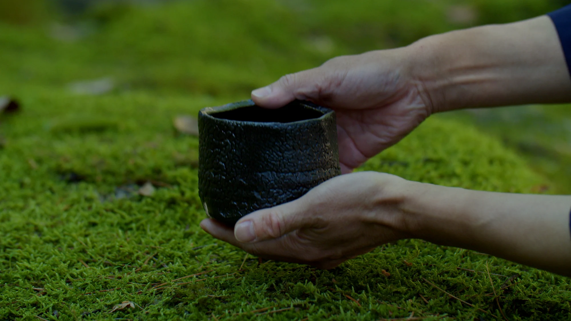 苔の庭で、瀬戸黒の茶盌を両手で差し出す手元